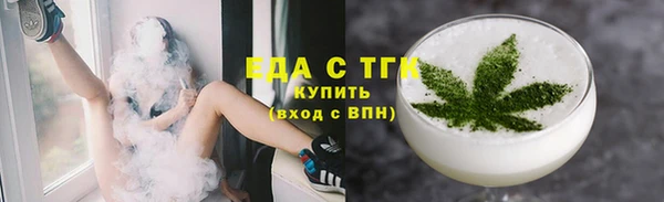 индика Кадников