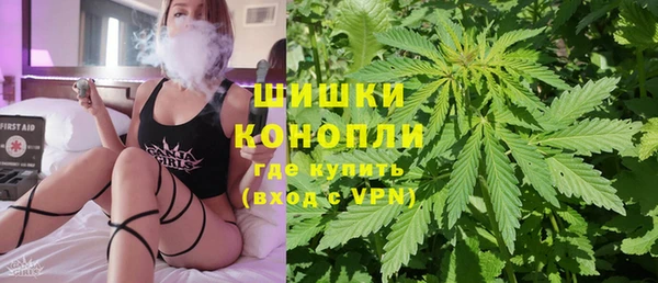 мет Пестово
