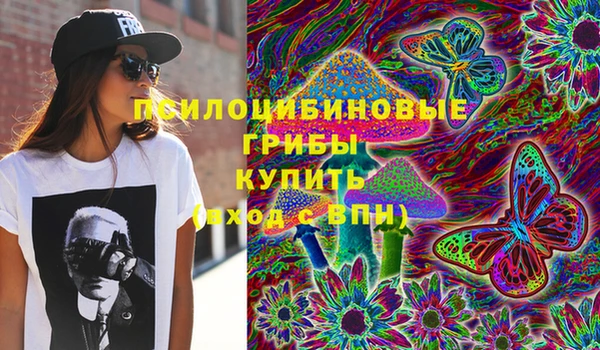мяу мяу кристалл Переславль-Залесский