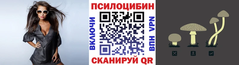 ссылка на мегу   что такое   Ростов  Галлюциногенные грибы GOLDEN TEACHER 